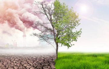 The program seeks to address issues relating to Climate Change especially in Tanzania. We strongly believe that whatever we do to tackle climate change will serve as a legacy for our future generation.